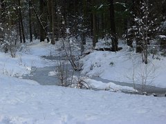 20110220-21_Yosemite 012